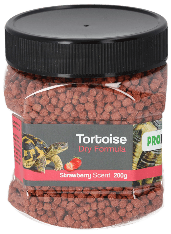 Tortoise Foods