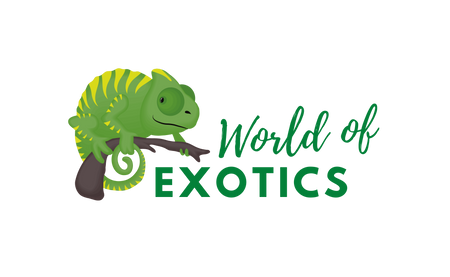 World of Exotics