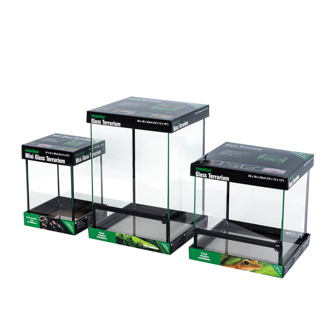 Glass Terrarium - Pre Built