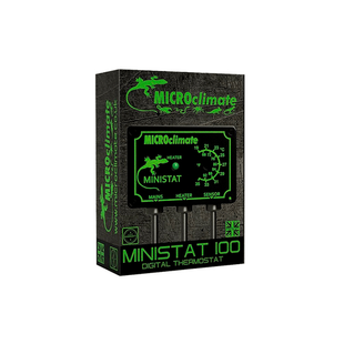 Ministat 100W & 600W